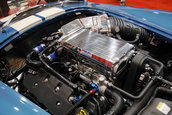 SEMA 2008