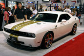 SEMA 2008
