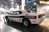 SEMA 2008