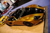 SEMA 2008