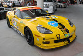 SEMA 2008
