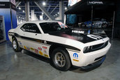 SEMA 2008