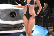 SEMA 2008