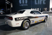 SEMA 2008