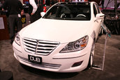 SEMA 2008