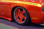 SEMA 2008