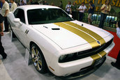 SEMA 2008