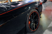 SEMA 2008