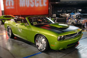 SEMA 2008