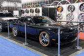 SEMA 2008