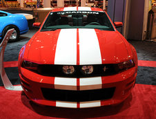 SEMA 2009: Alege-ti un Mustang! Ai de unde!