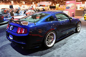 SEMA 2009: Alege-ti un Mustang! Ai de unde!