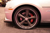 SEMA Show 2009 - 1.300+ poze