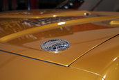 SEMA Show 2009 - 1.300+ poze