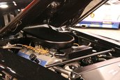 SEMA Show 2009 - 1.300+ poze