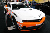 SEMA Show 2009 - 1.300+ poze