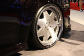 SEMA Show 2009 - 1.300+ poze
