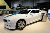 SEMA Show 2009 - 1.300+ poze
