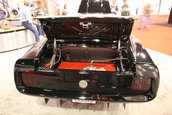 SEMA Show 2009 - 1.300+ poze
