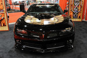 SEMA Show 2009 - 1.300+ poze