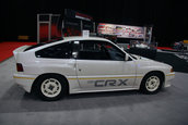 SEMA Show 2009 - 1.300+ poze