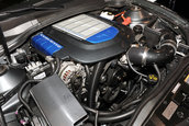 SEMA Show 2009 - 1.300+ poze