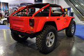 SEMA Show 2009 - 1.300+ poze