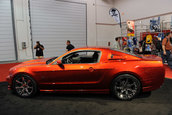 SEMA Show 2009 - 1.300+ poze