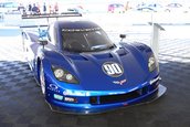 SEMA Show 2012