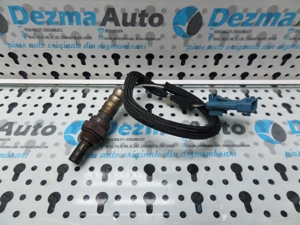 Senzor catalizator Peugeot 308 CC, 7548961-04