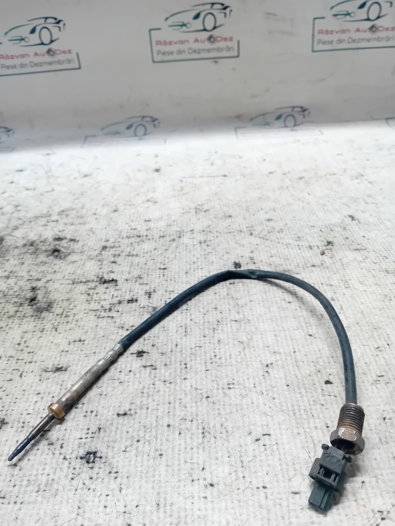 Senzor Noxe BMW X1 2010, 7805606
