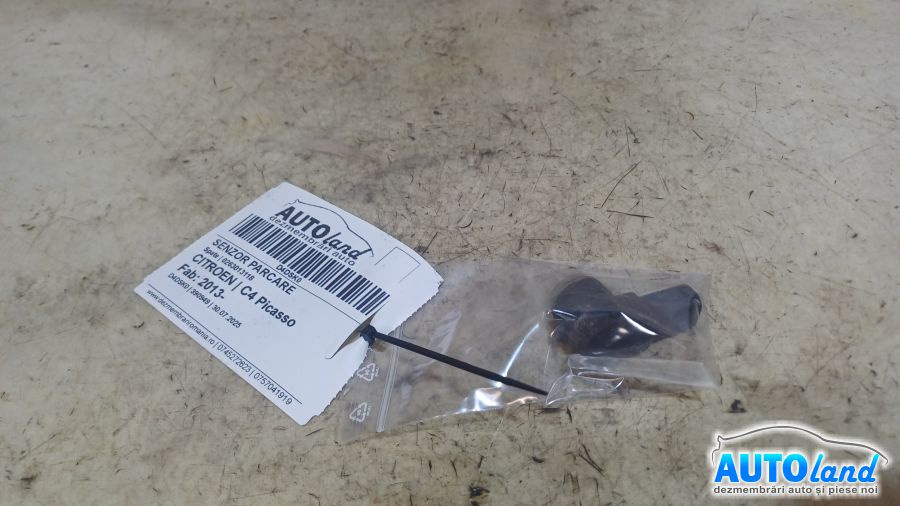 Senzor Parcare 0263013118 Spate Citroen 