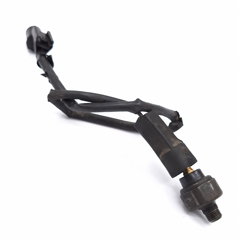 Senzor Presiune Ulei Hyundai SANTA FE 1 (SM) 2000 - 2006 Motorina