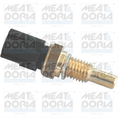 Senzor, Temperatura Chiulasa Meat & Doria Ford 82193