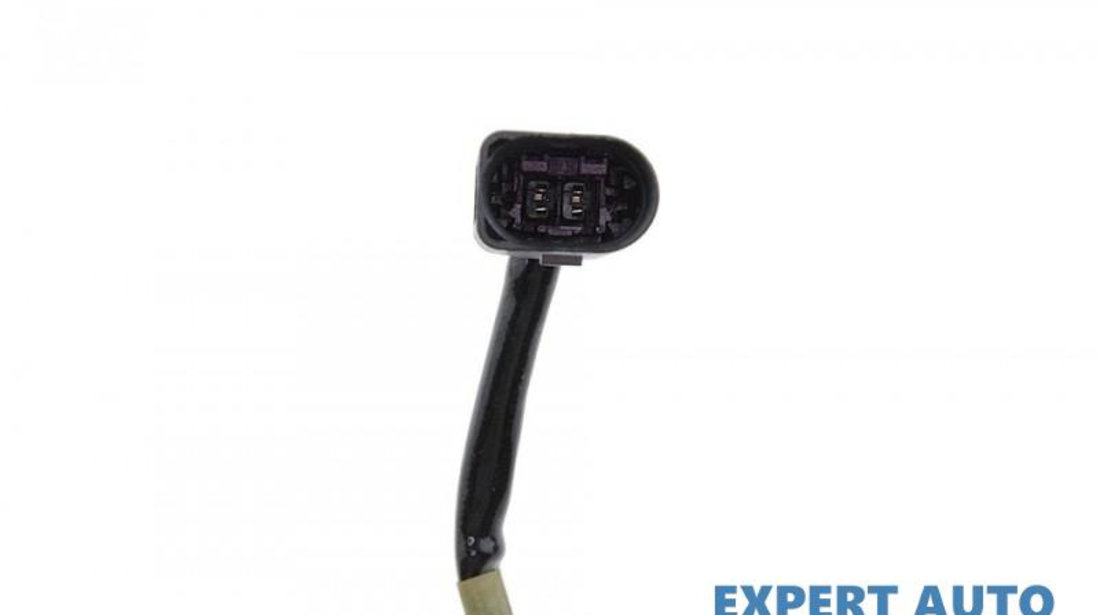 Senzor temperatura gaze dpf Audi Avant (2001-2005) #1 03L906088A