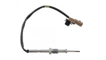 Senzor temperatura gaze dpf Renault Clio 3 (2005->...