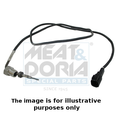 Senzor, temperatura gaze evacuare (12429E MD) FORD