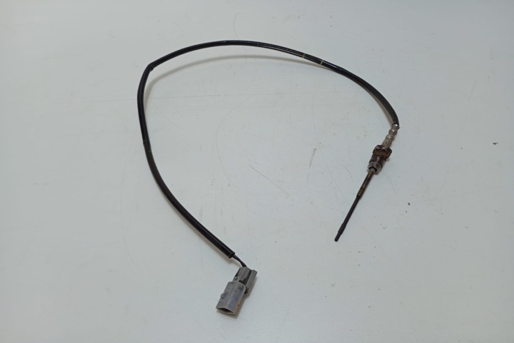 Senzor temperatura gaze evacuare 226400467R Nissan X-Trail T32 [2013 - 2020]