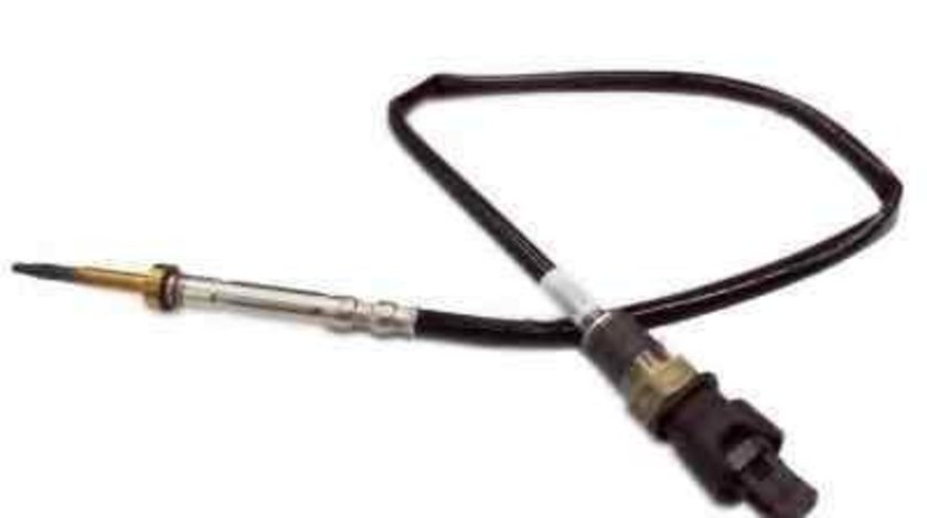 Senzor temperatura gaze evacuare BMW 5 (F10, F18) BMW 13 62 7 806 254