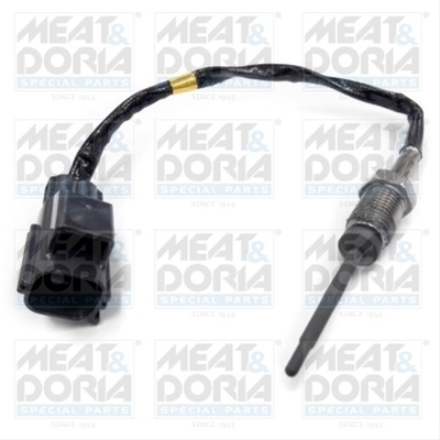 Senzor Temperatura Gaze Evacuare Meat&doria Meat & Doria Ford 11914E