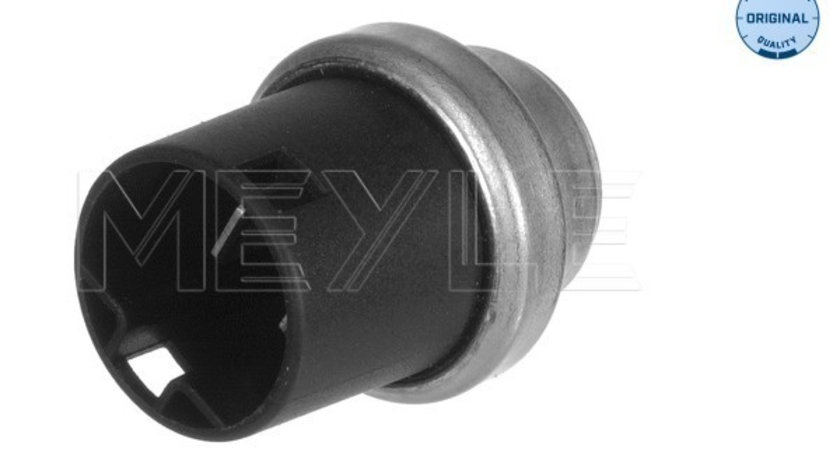 Senzor,temperatura lichid de racire (1001910002 MEYLE) VW