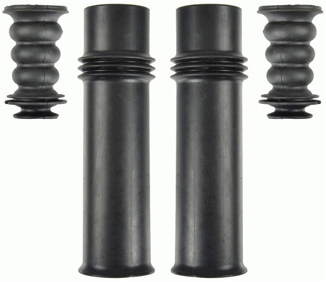 Service Kit Sachs Ds 900 248