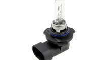 Set 10 becuri halogen HB3, HALOGEN BULB HB3 9005 1...