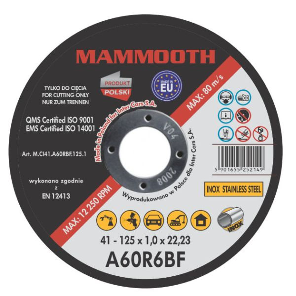 Set 10 Buc Disc Abraziv Mammooth 125mm M.CI41.A60RBF.125.1B