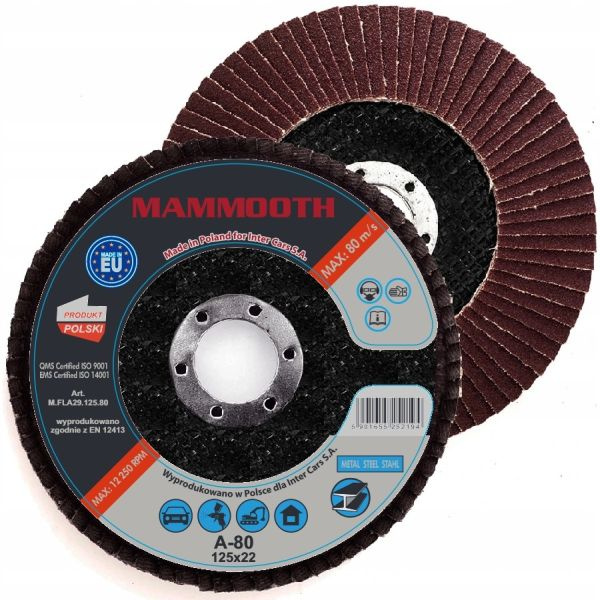 Set 10 Buc Disc Abraziv Mammooth La29 125mm M.FLA29.125.80B