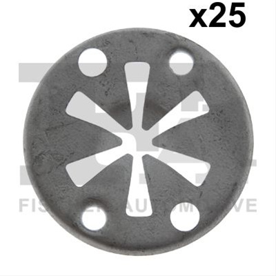 Set 25 Buc Agrafe Fa1 Ford 11-40111.25