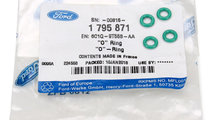 Set 4 Buc Garnitura Injector Oe Ford 1795871