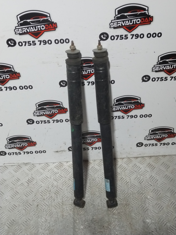 Set amortizoare spate Mercedes-Benz C-Class (2001-2007) [W203] 2.2 Motorina 2002, 844904553869 / COMBI