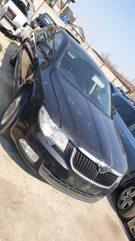 Set amortizoare spate Skoda Superb 2 2010 HB 1.6