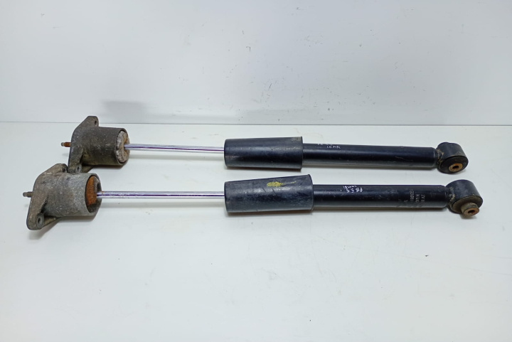 Set amortizoare spate Volkswagen VW Passat B5.5 [facelift] [2000 - 2005]